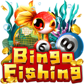 Câu Cá Bingo tk 623